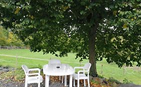La Sittelle Des Aguesses