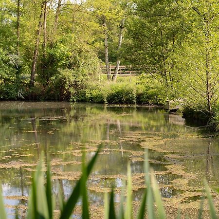 Ferienwohnung La Sittelle Des Aguesses Andenne Exterior foto