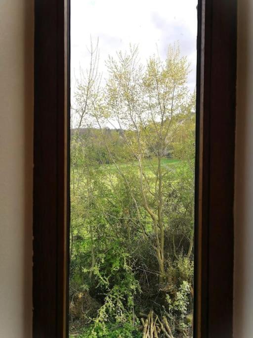 Ferienwohnung La Sittelle Des Aguesses Andenne Exterior foto